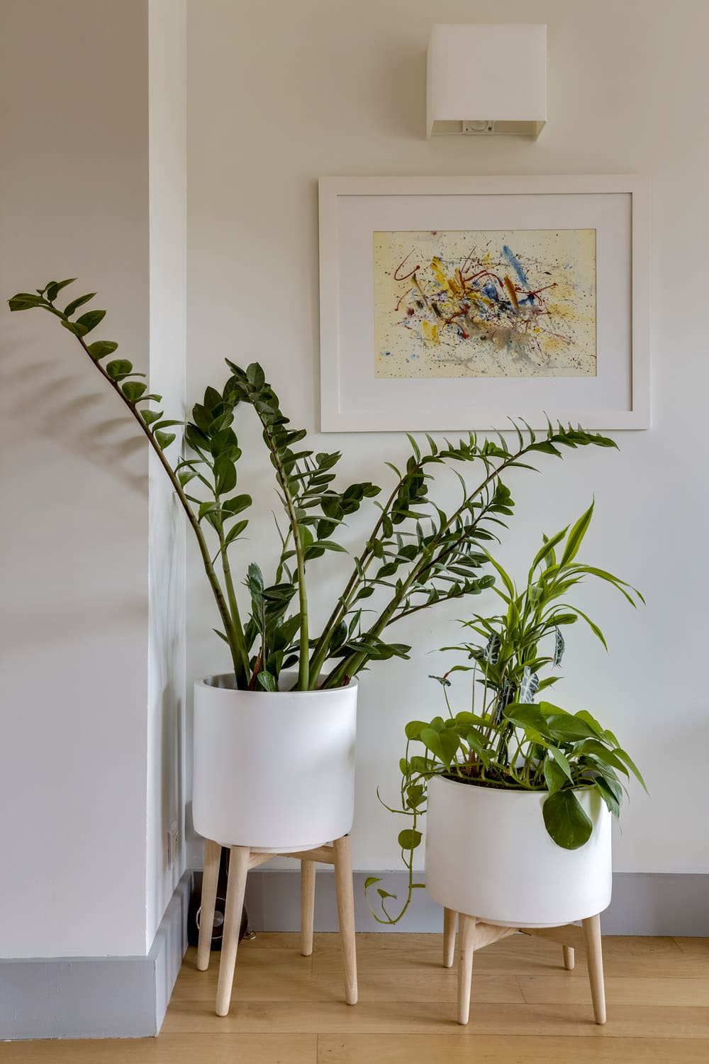 appartement neuilly ambiance scandinave plantes vertes murs et merveilles